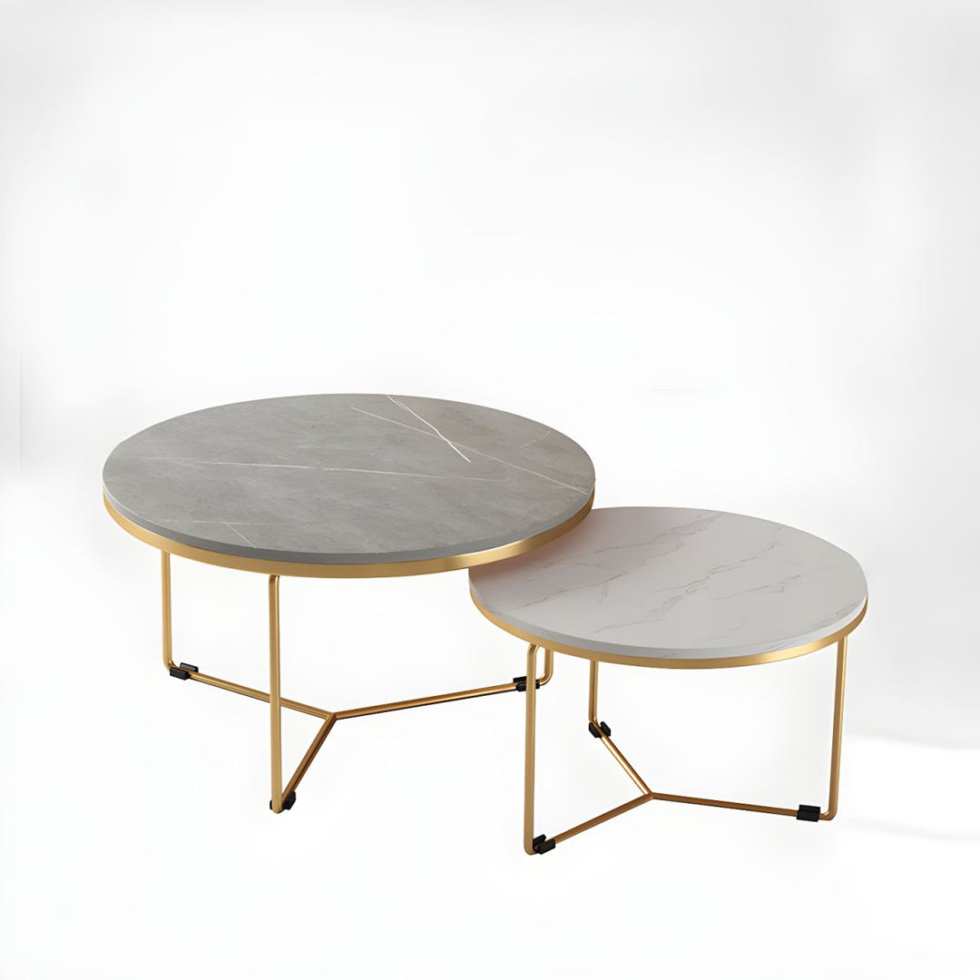 Hriday Stainless Steel Frame Coffee Table for Living Room