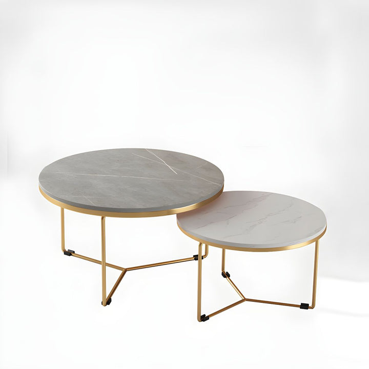 Hriday Stainless Steel Frame Coffee Table for Living Room