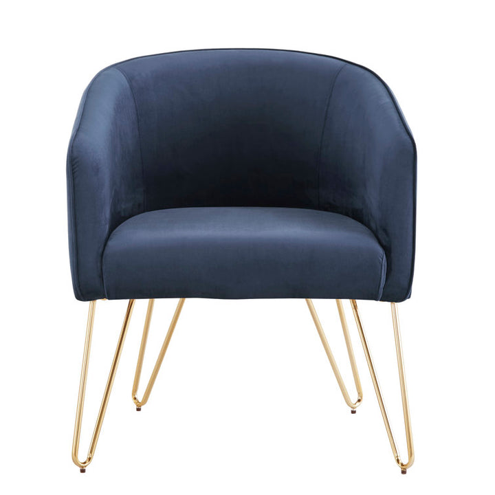 Janvika Metal and Fabric Arm Chair | Living Room Chair | Lounge Chair
