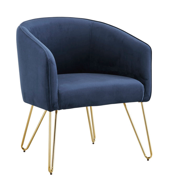 Janvika Metal and Fabric Arm Chair | Living Room Chair | Lounge Chair
