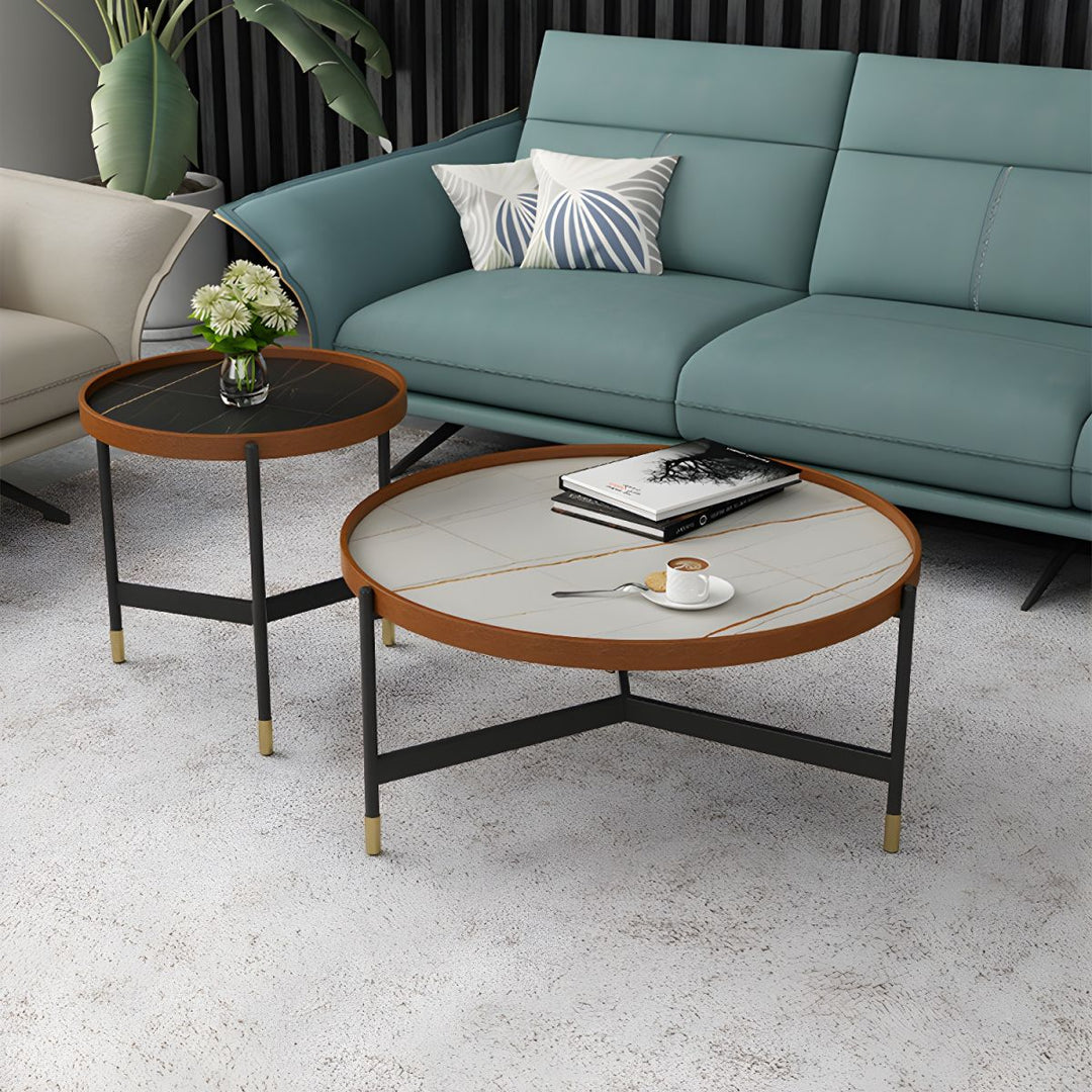 Rishaan Stainless Steel Frame Coffee Table for Living Room