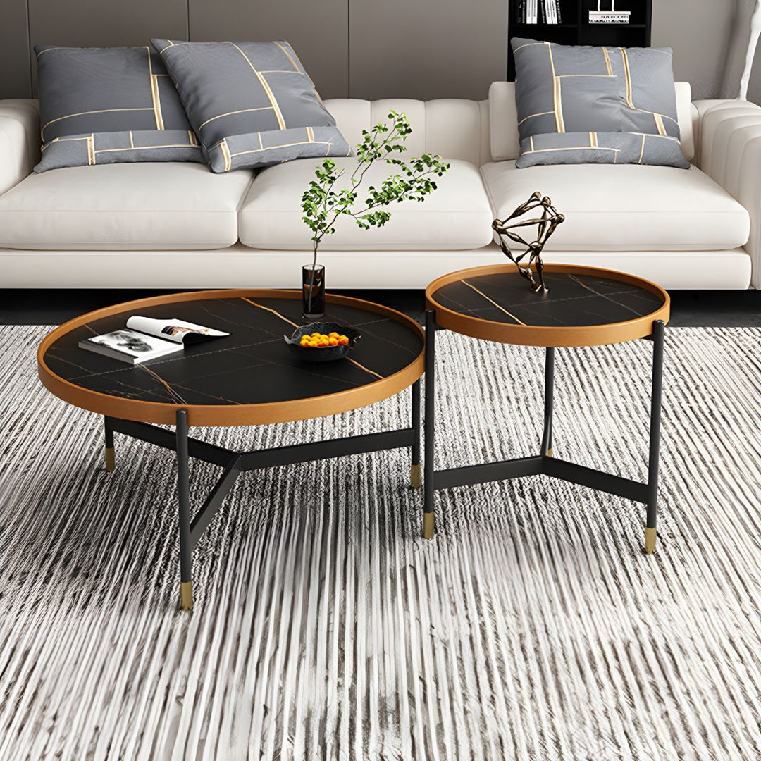 Rishaan Stainless Steel Frame Coffee Table for Living Room