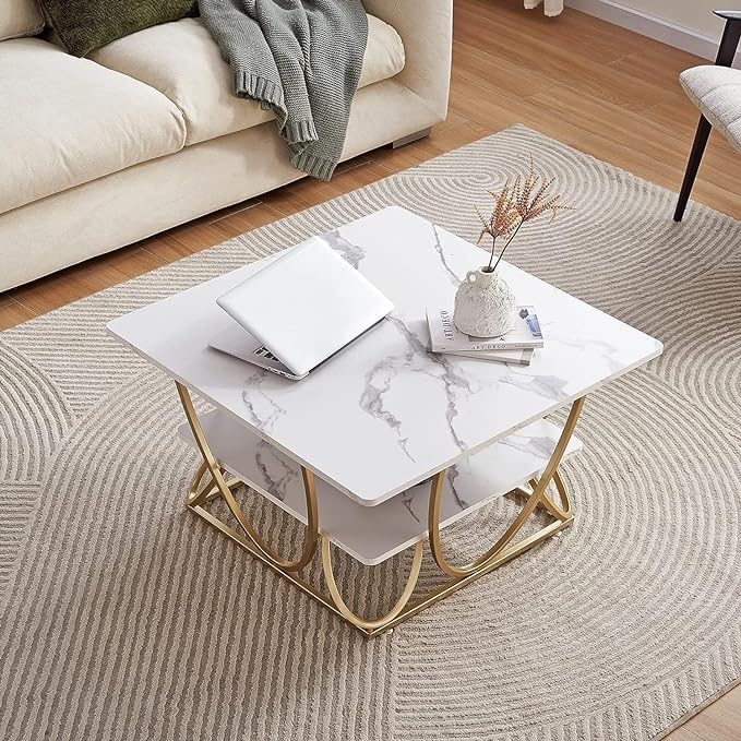 Ritesh Square Marble Coffee Table For Living Room