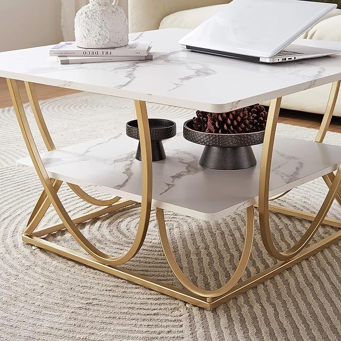 Ritesh Square Marble Coffee Table For Living Room