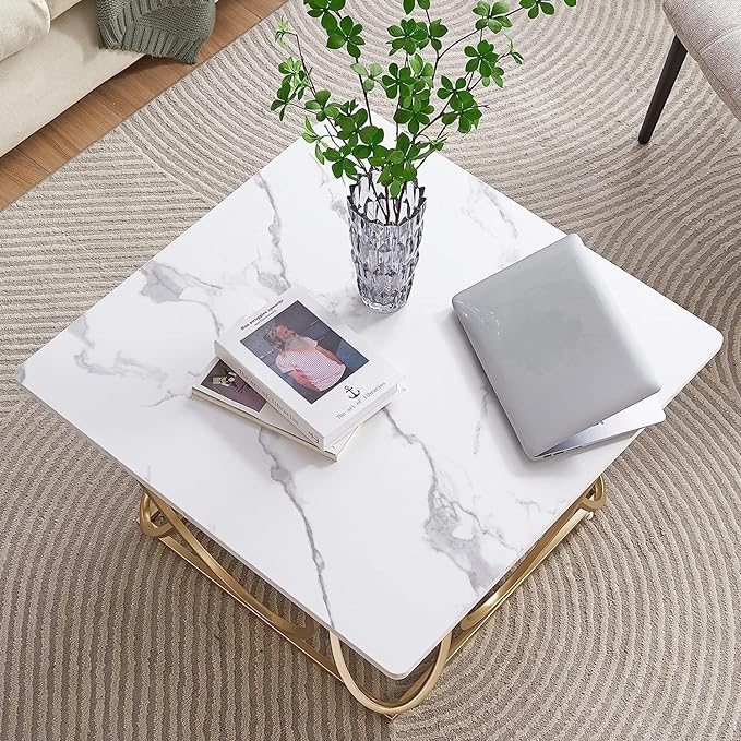 Ritesh Square Marble Coffee Table For Living Room