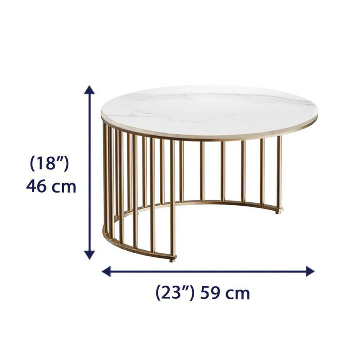 Sejal Metal Coffee Table