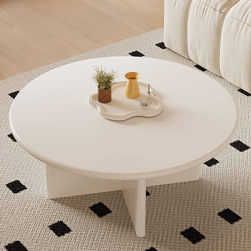 Nubo Mango Wood Coffee Table for Living Room | Round Shaped | White Finish