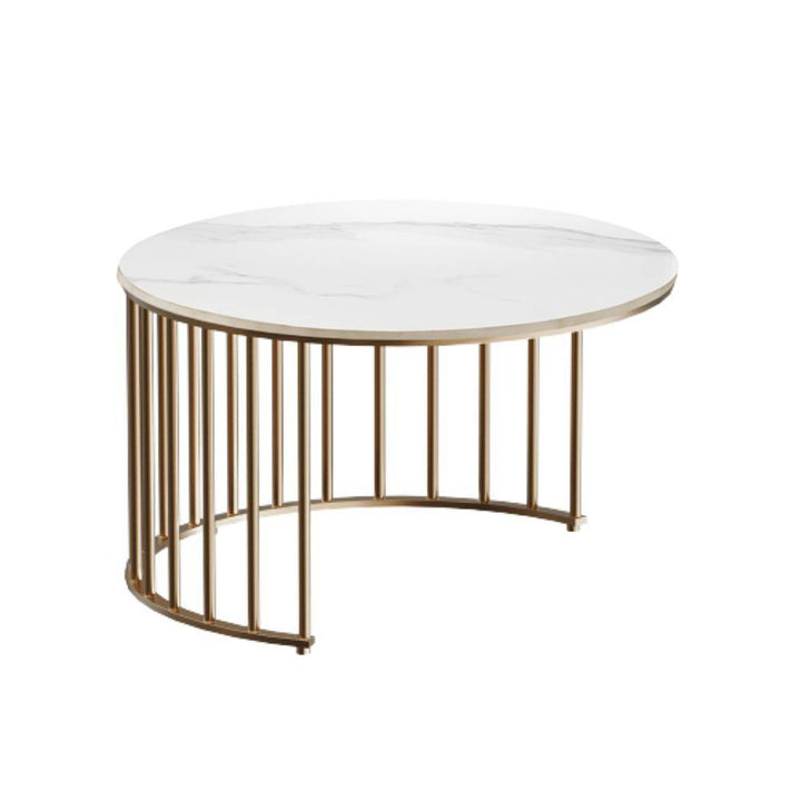 Sejal Metal Coffee Table
