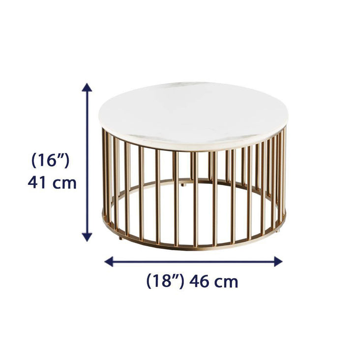 Sejal Metal Coffee Table