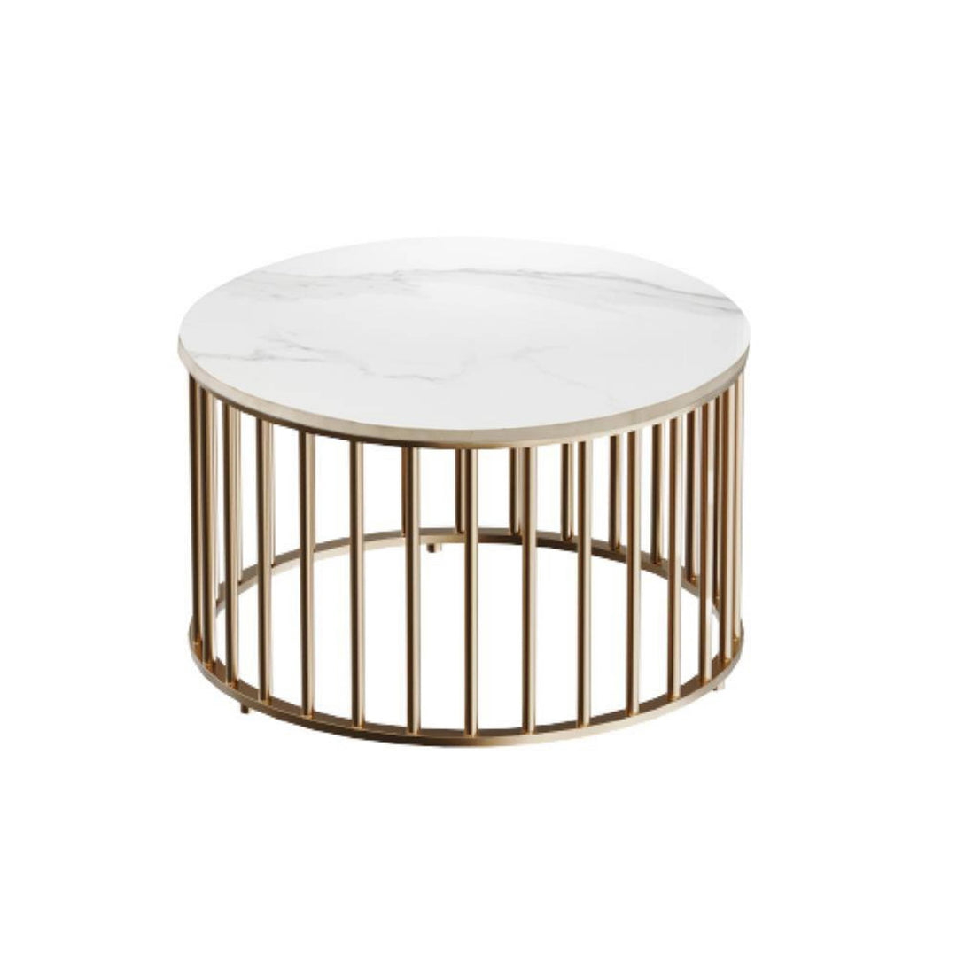 Sejal Metal Coffee Table