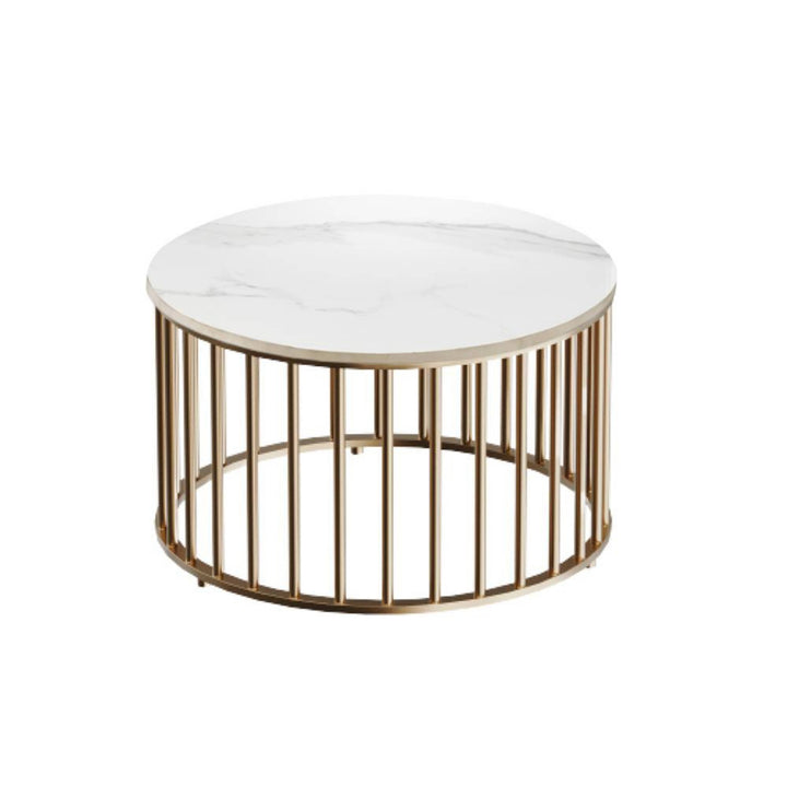 Sejal Metal Coffee Table