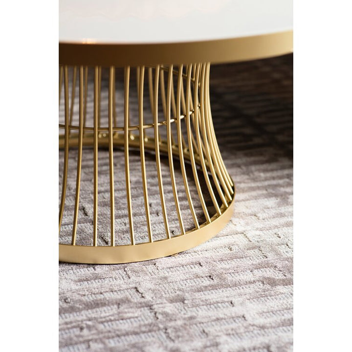 Kriti Metal Coffee Table For Living Room