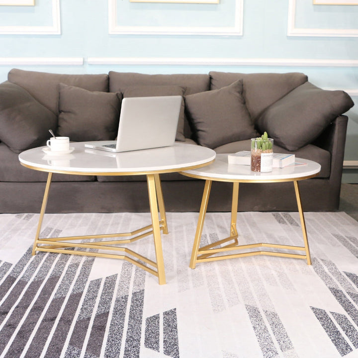 Bhavin Coffee Table Metal Legs With Marble Top - Set Of 2