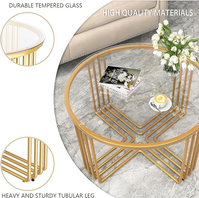 Ritika Metal Coffee Table For Living Room