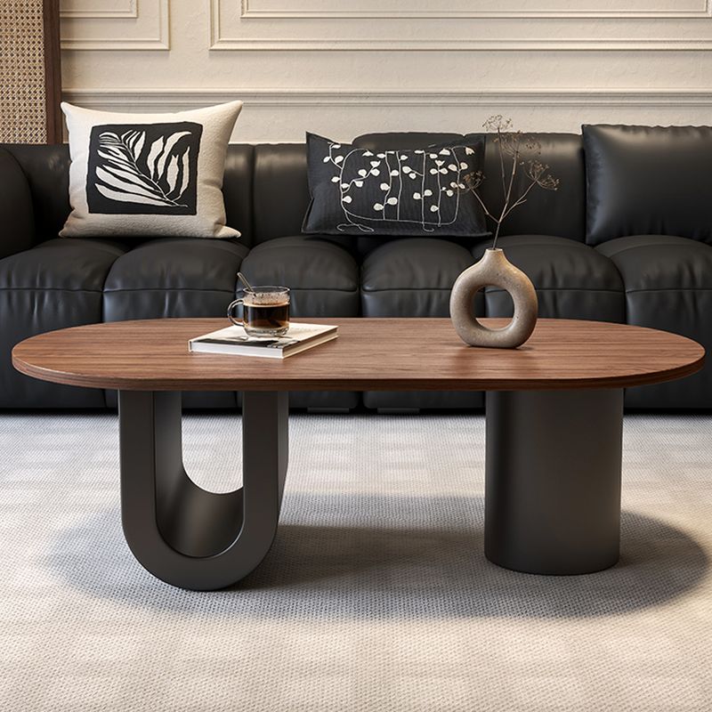 Elara Stainless Steel Coffee Table | Wooden Table Top