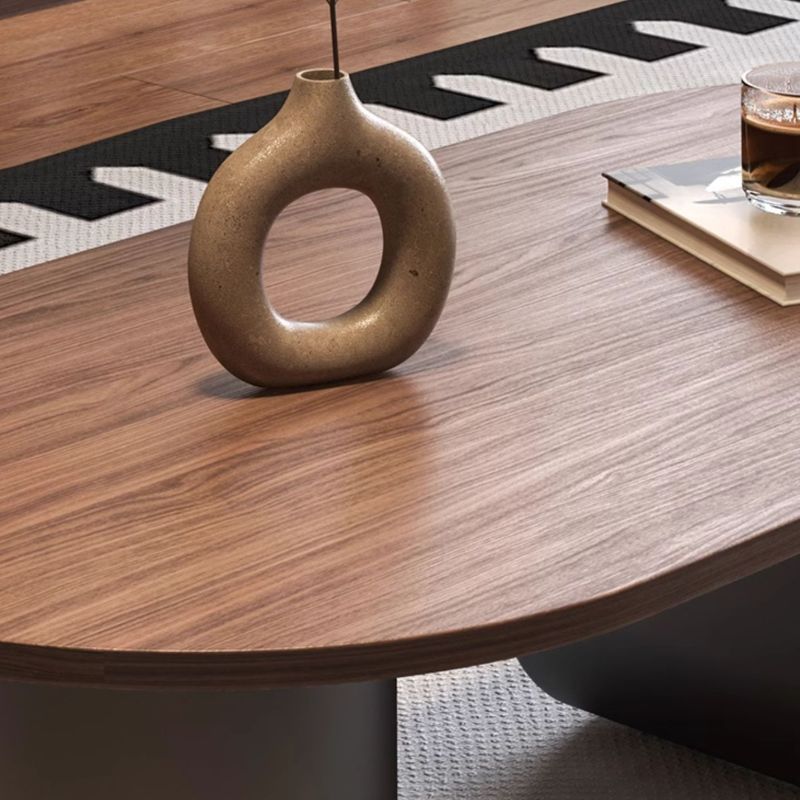 Elara Stainless Steel Coffee Table | Wooden Table Top