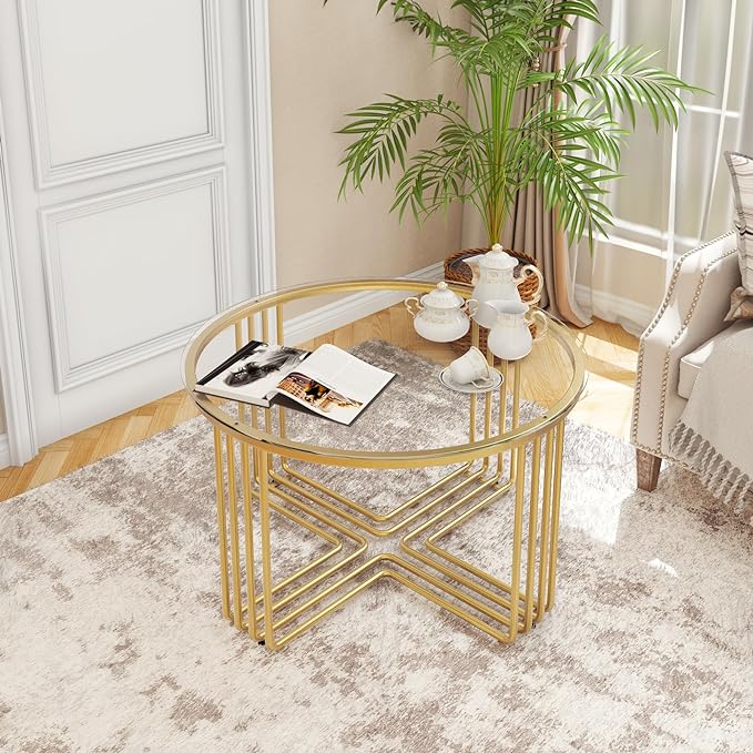 Ritika Metal Coffee Table For Living Room