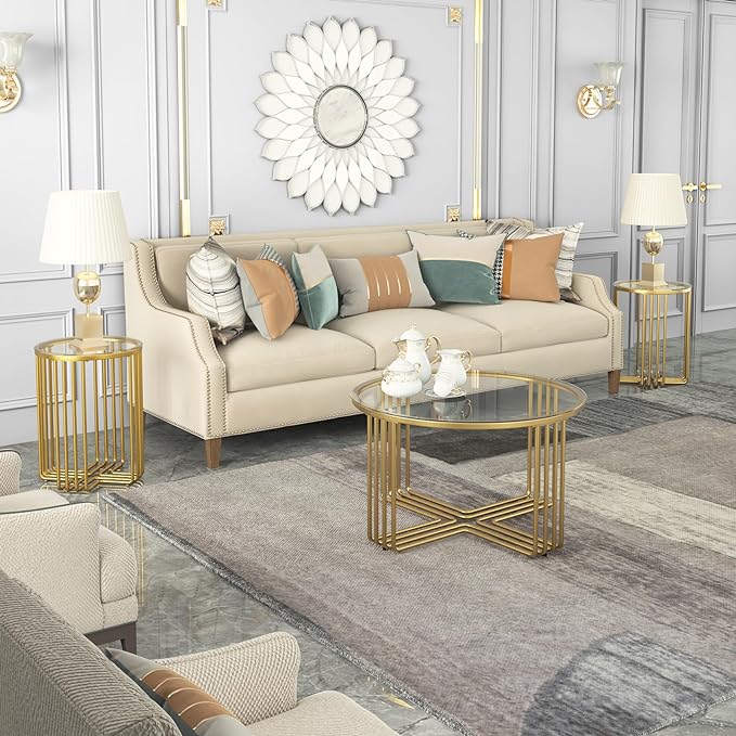 Ritika Metal Coffee Table For Living Room