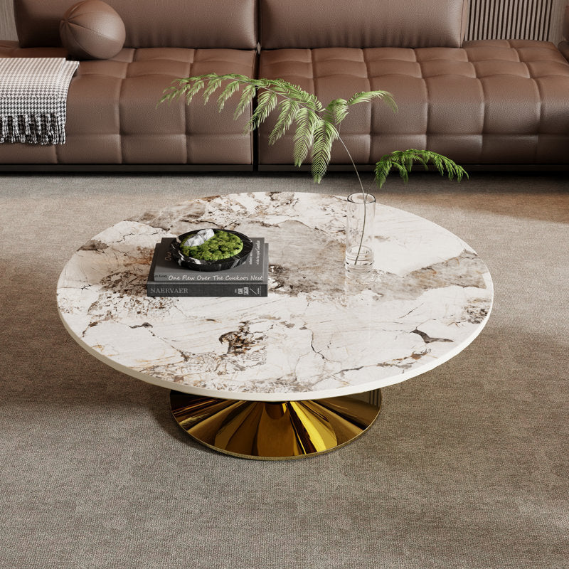 Lopa Stainless Steel Coffee Table For Living Room