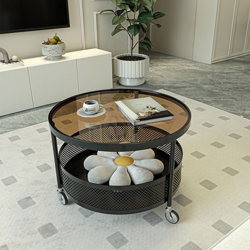 Janya Stainless Steel Frame Coffee Table for Living Room