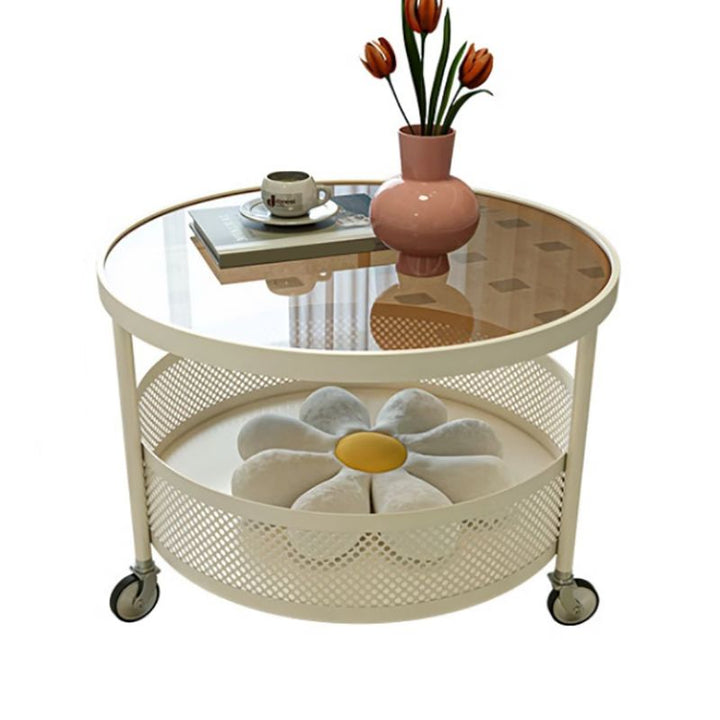 Janya Stainless Steel Frame Coffee Table for Living Room