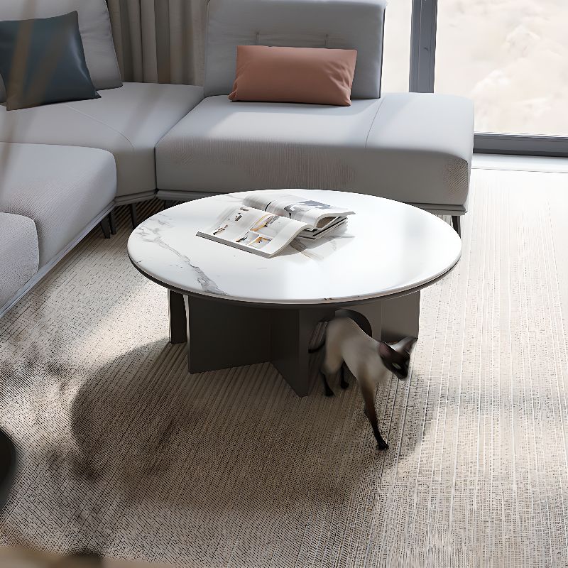 Chaitanya Stainless Steel Coffee Table for Living Room