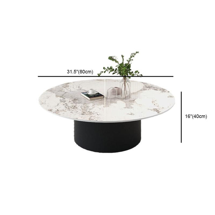 Mohini Stainless Steel Frame Coffee Table for Living Room