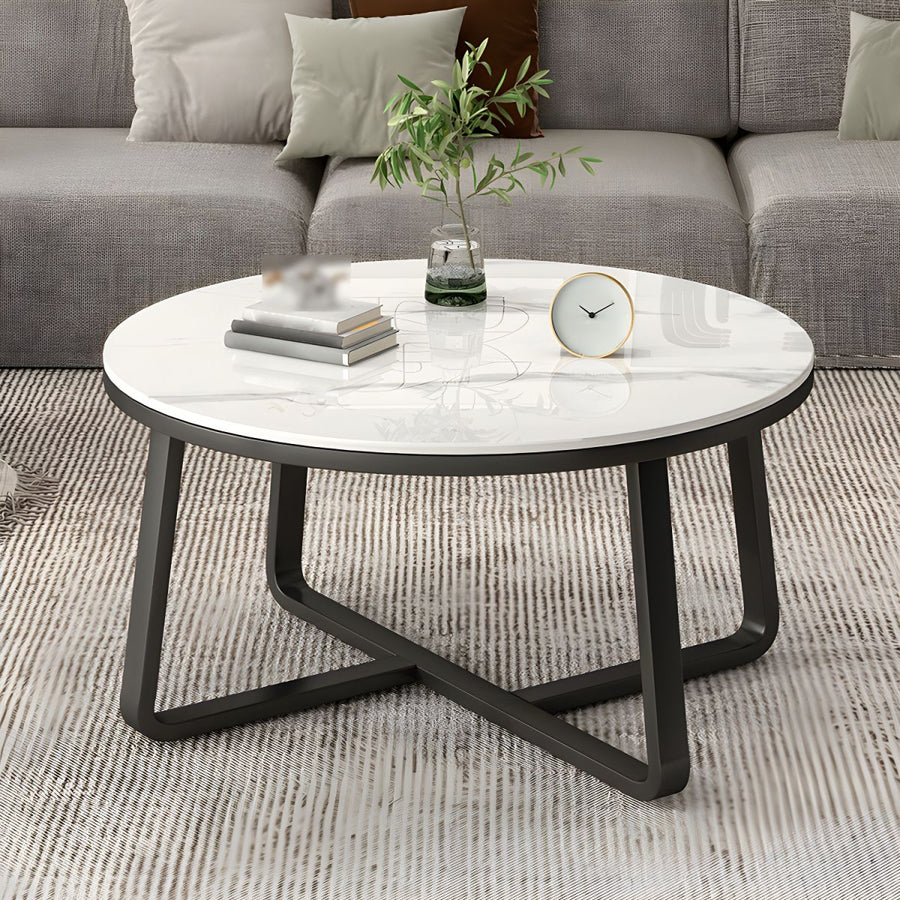 Driti Stainless Steel Frame Coffee Table for Living Room