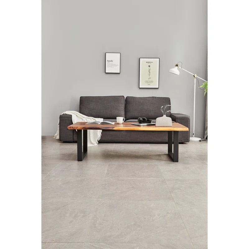 Priya Solid Wood and Metal Coffee Table for Living Room