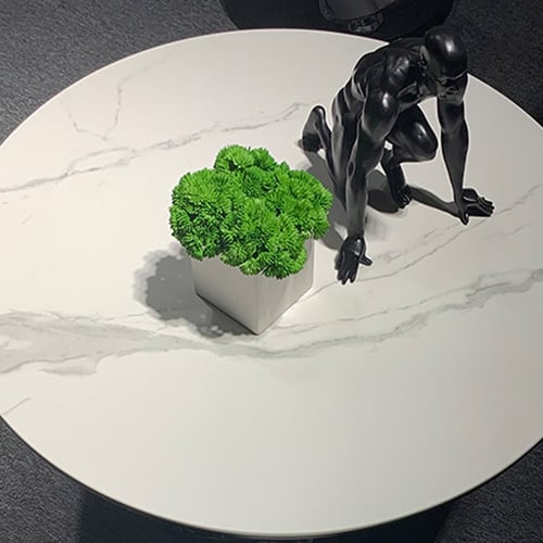 Amara Stainless Steel With Pvd Coated Coffee Table Ring-Shaped Metal Pedestal
