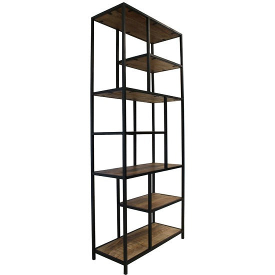 Lavanya Slim Line Metallic Bookshelf (Medium)