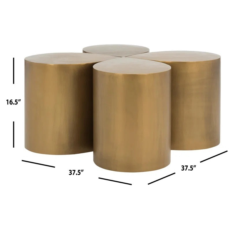 Nandini Stainless Steel Coffee Table for Living Room