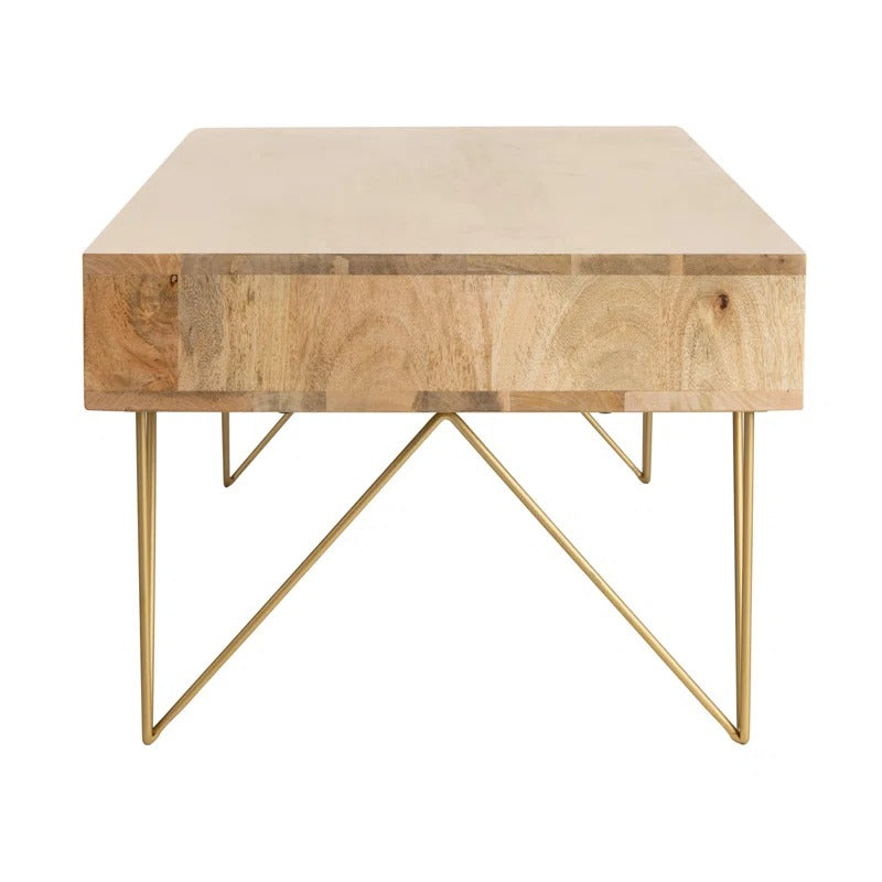 Diya Solid Wood and Metal Coffee Table for Living Room