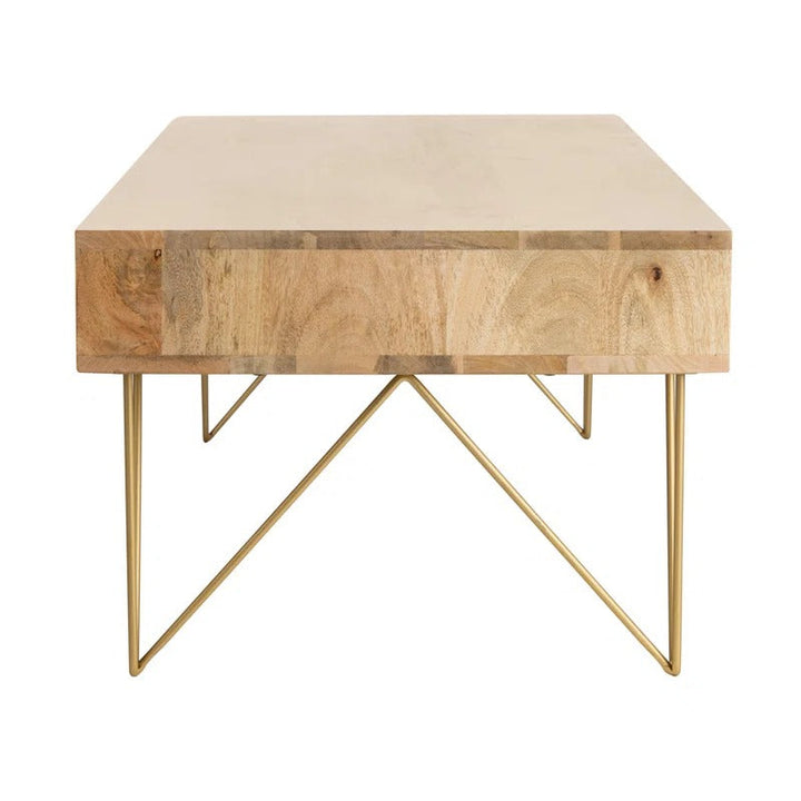 Diya Solid Wood and Metal Coffee Table for Living Room
