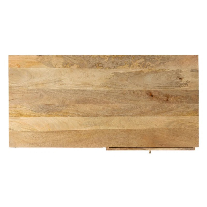 Diya Solid Wood and Metal Coffee Table for Living Room