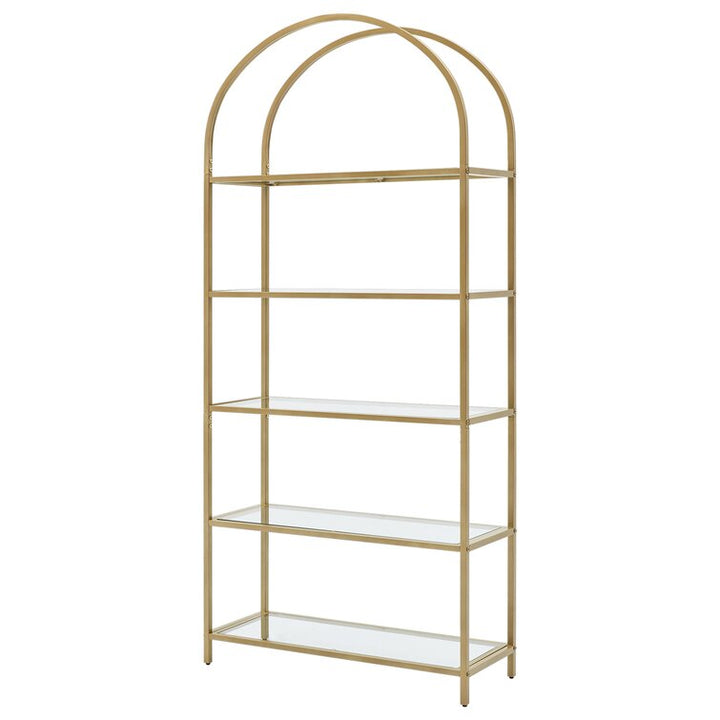 Sachin Stainless Iron With Premium Powder Coated Bookshelves