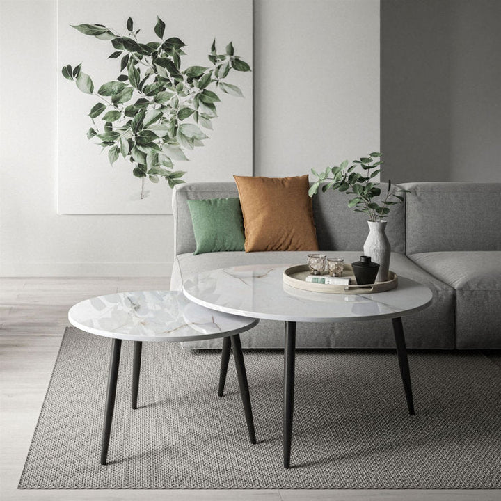 Anika Marble Top Metal Coffee Table - Set Of 2