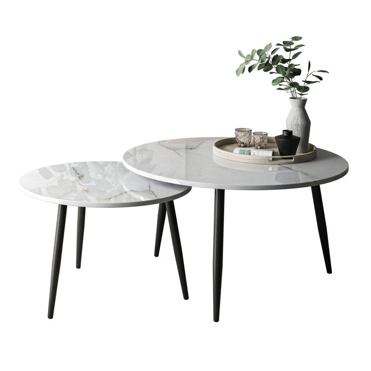 Anika Marble Top Metal Coffee Table - Set Of 2
