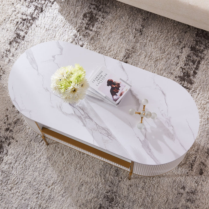 Esha Metal Coffee Table For Living Room