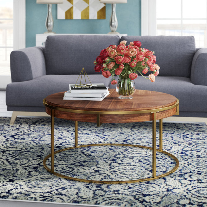 Priya Stainless Steel and Wooden Top Coffee Table for Living Room
