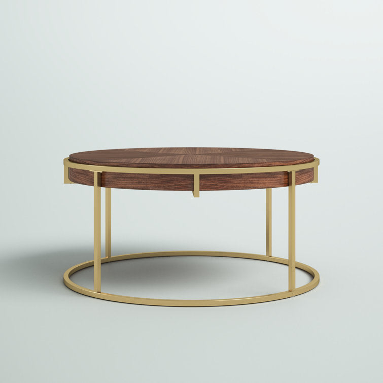 Priya Stainless Steel and Wooden Top Coffee Table for Living Room