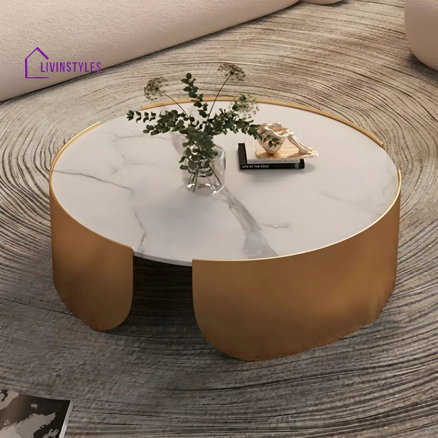 Aarav Stainless Steel Coffee Table for Living Room | Round Shaped