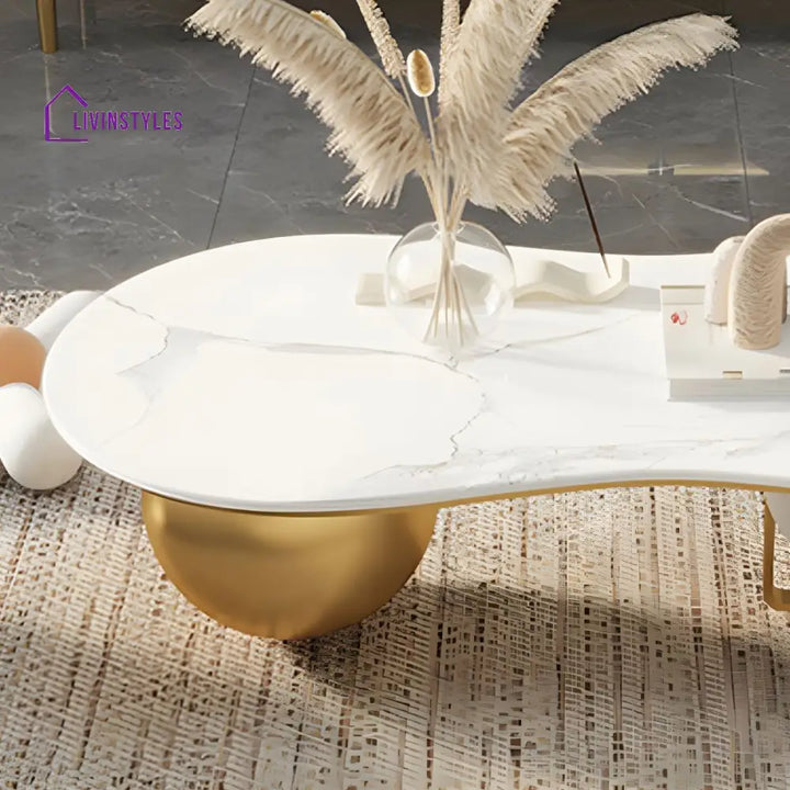 Aarush Stainless Steel Frame Coffee Table for Living Room
