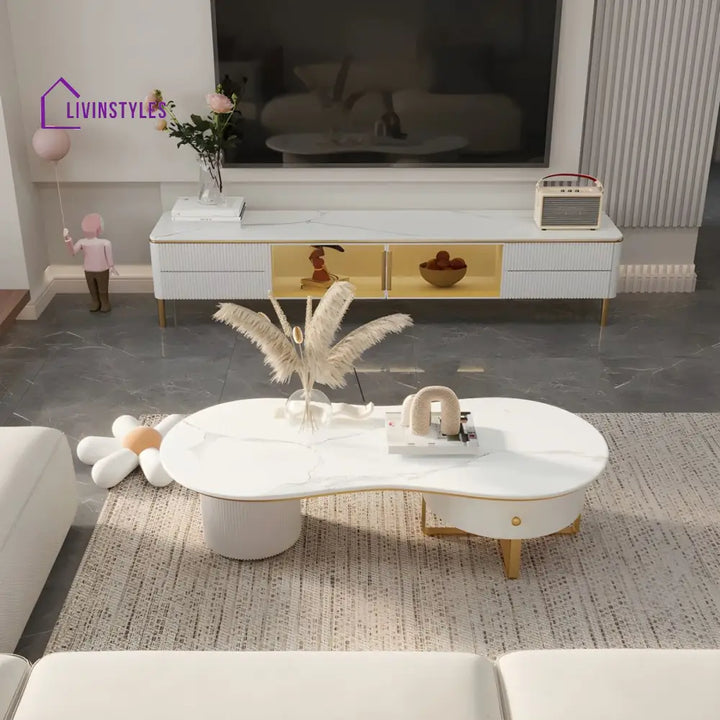 Aarush Stainless Steel Frame Coffee Table for Living Room