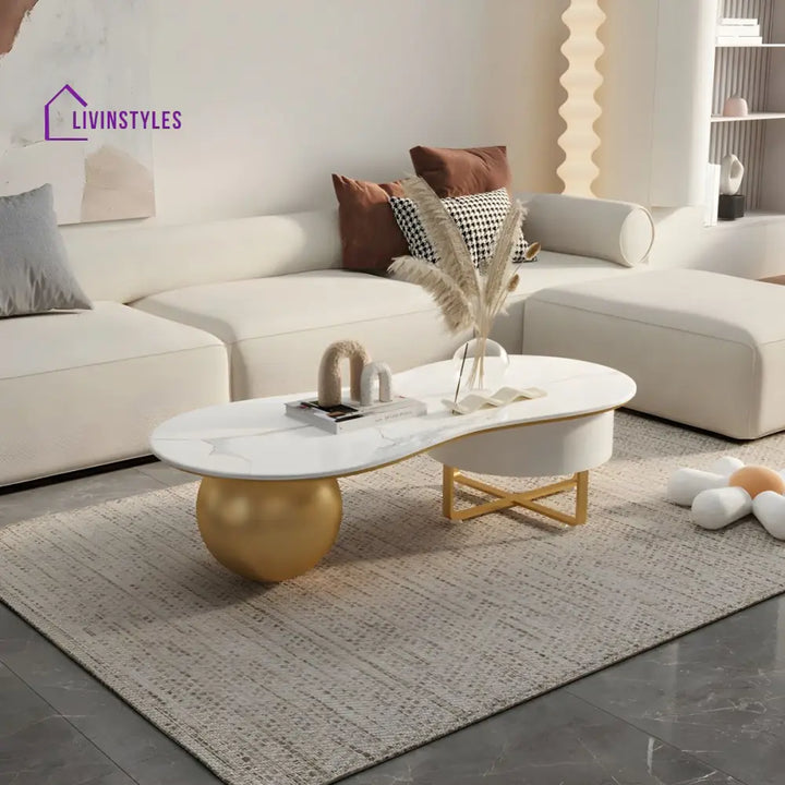 Aarush Stainless Steel Frame Coffee Table for Living Room