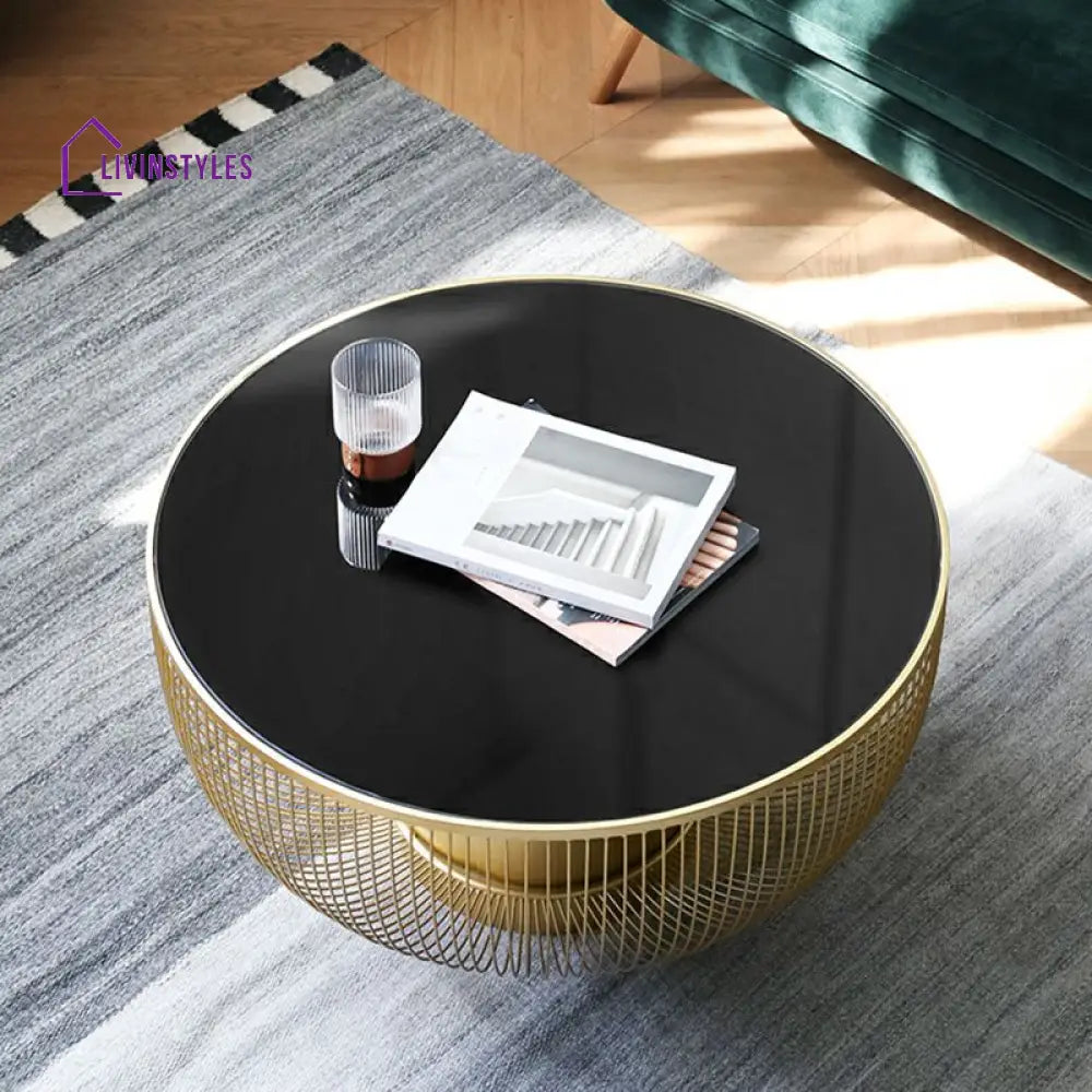 Aashita Stainless Steel Frame Coffee Table for Living Room with Glass Top