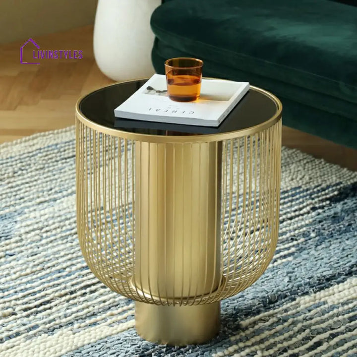 Aashita Stainless Steel Frame Coffee Table for Living Room with Glass Top