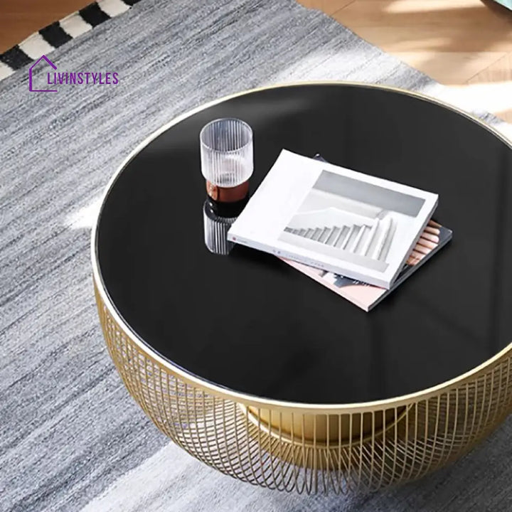 Aashita Stainless Steel Frame Coffee Table for Living Room with Glass Top