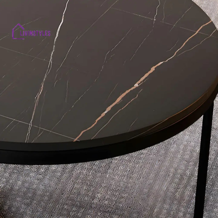 Advait Stainless Steel Coffee Table for Living Room | Set of 2 | Round Shaped
