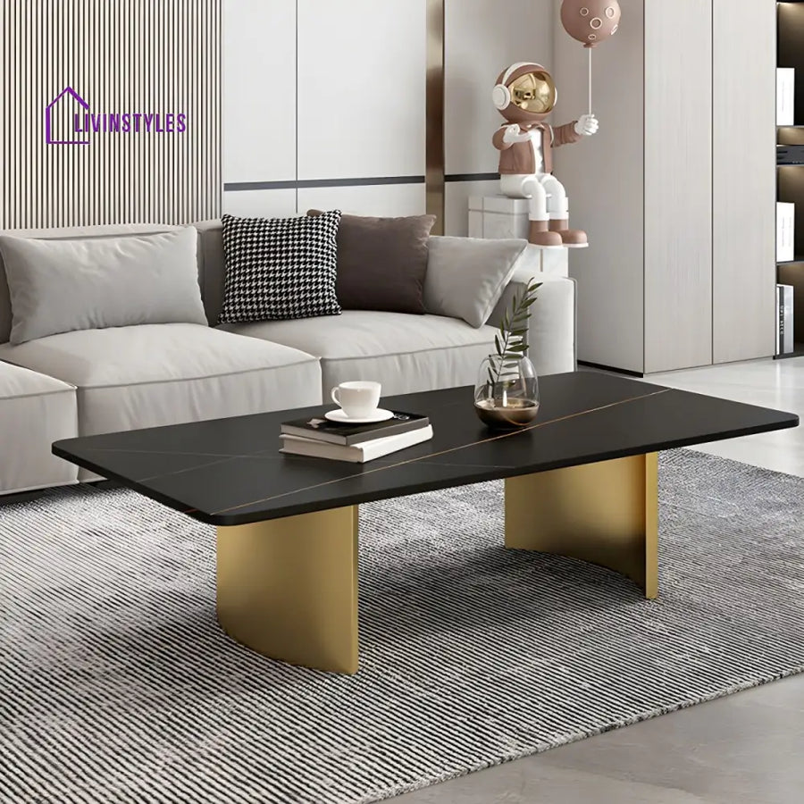 Aero Stainless Steel Coffee Table for Living Room | Rectangle Shape | Composite Ceramic Marble
